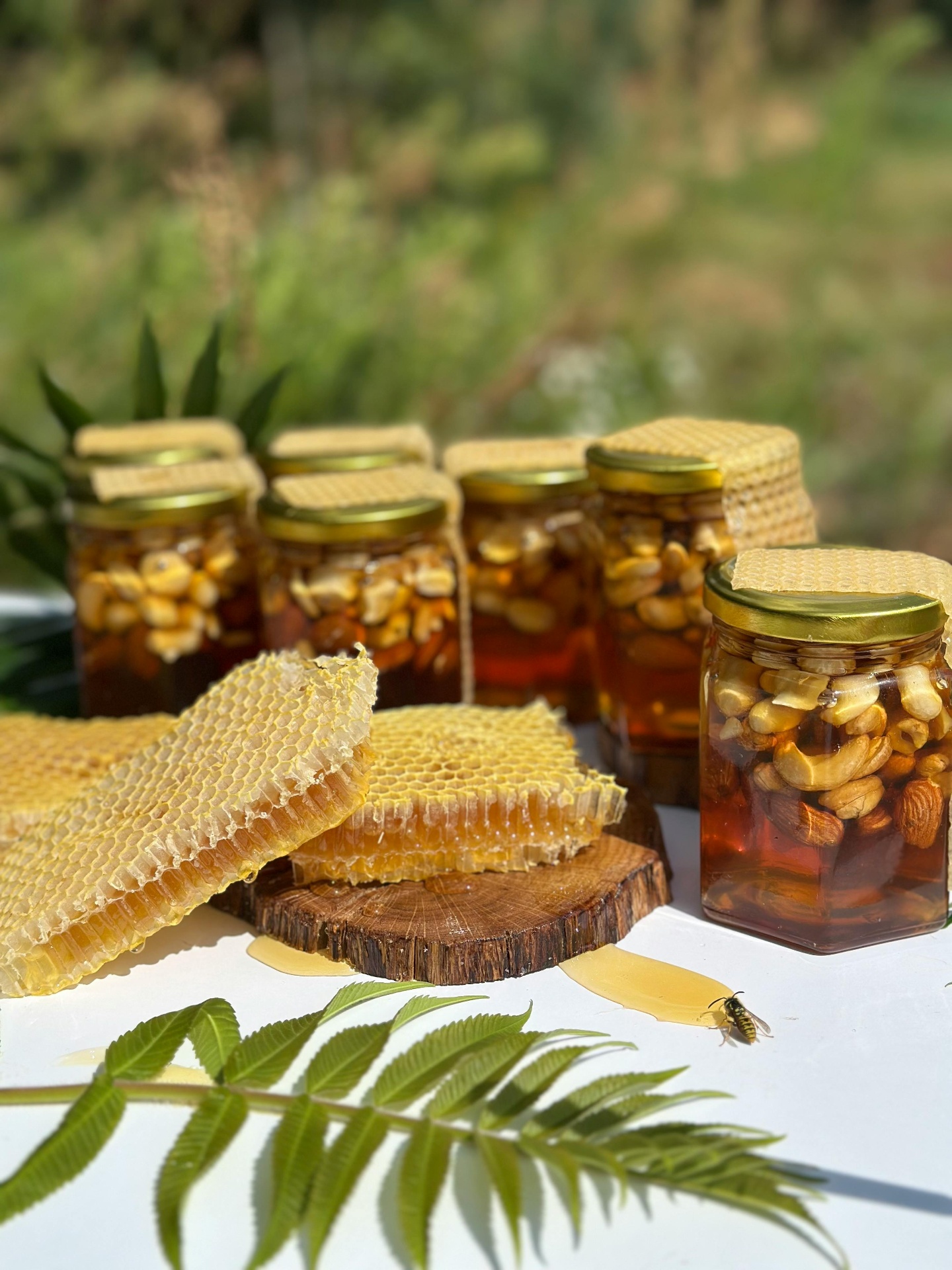 Miel & Produits de la ruche